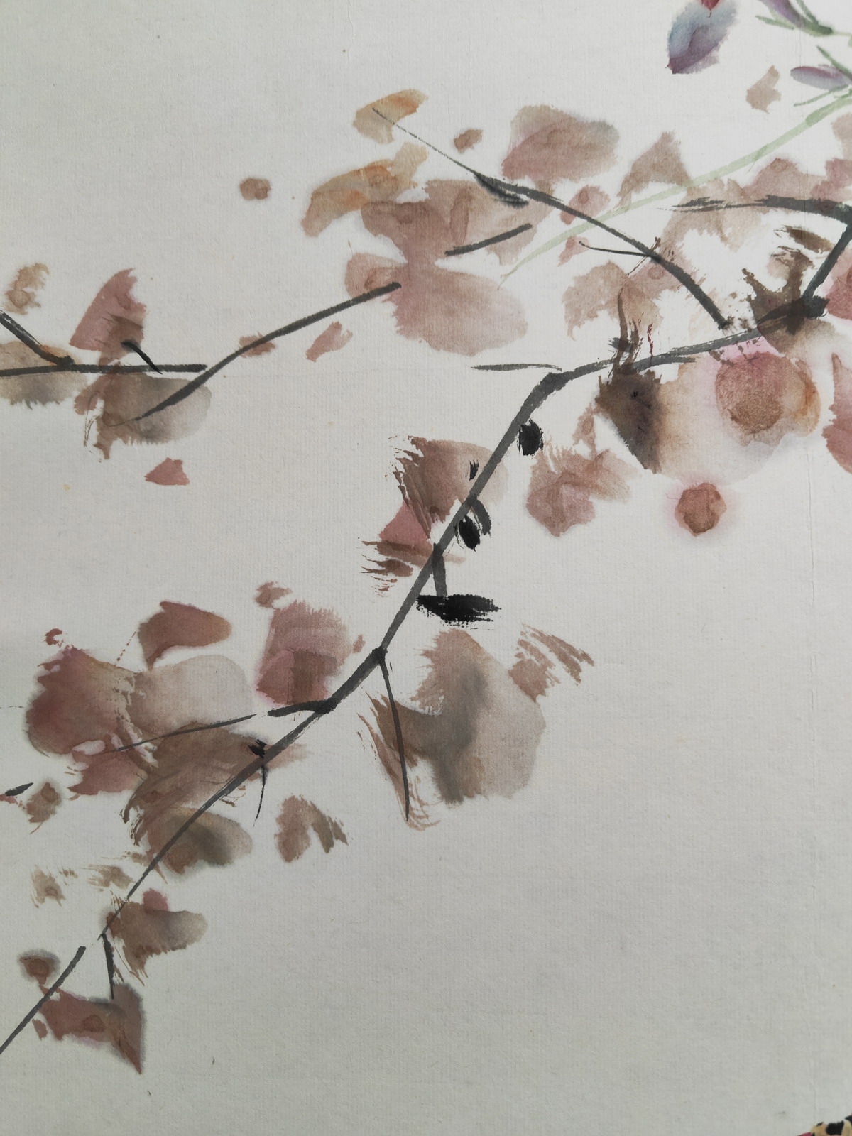 029 王雪涛花鸟镜心|品得拍—24小时在线拍卖平台