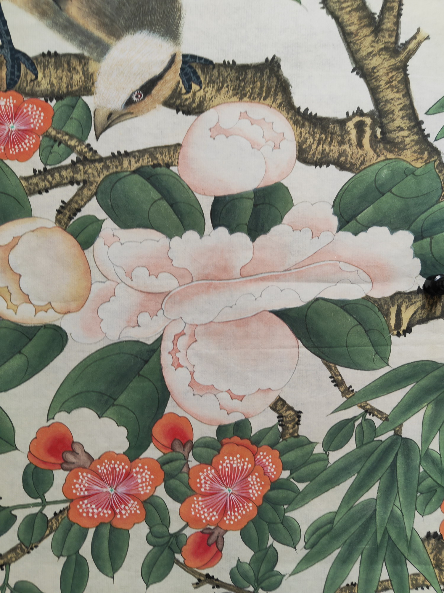 謝稚柳 花鳥 谢稚柳花鸟画欣赏
